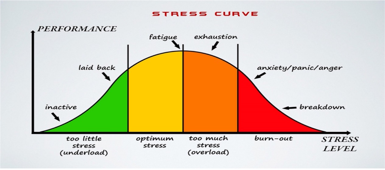 Is stress good or bad? Therapy Services Prosper Health Collective