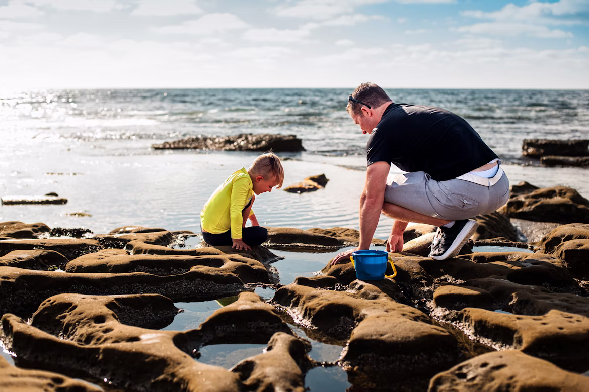 Why Do Joy and Curiosity Matter for Emotional Wellbeing? Image