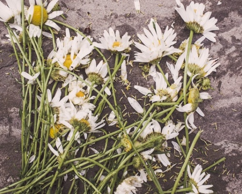 Tips For Accepting Death Image