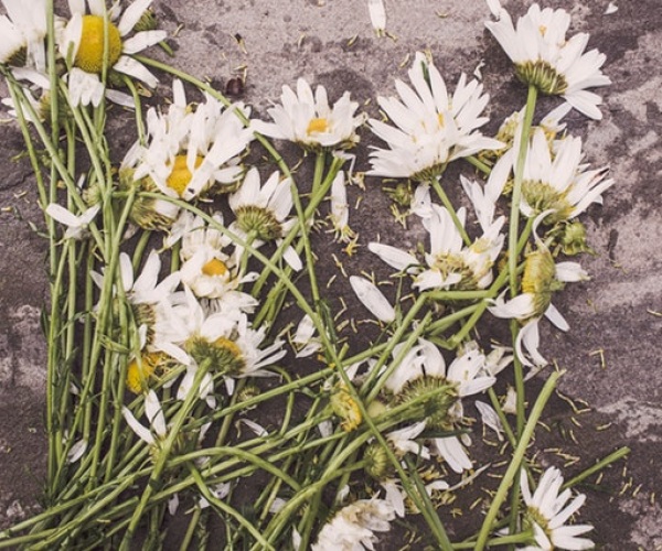 Tips For Accepting Death Image