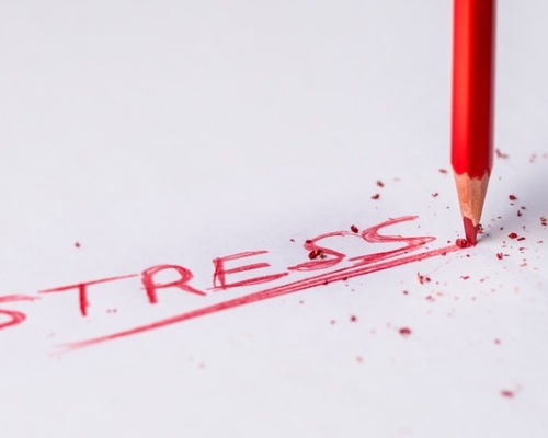 Understanding stress in the body Image
