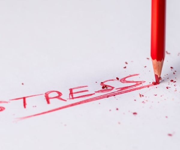 Understanding stress in the body Image