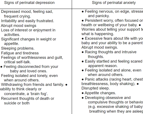 Prioritising Maternal Mental Health During the Perinatal Period Image