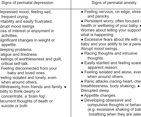 Prioritising Maternal Mental Health During the Perinatal Period Image