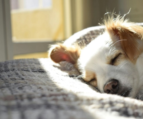 Tips to Improve Sleep Image