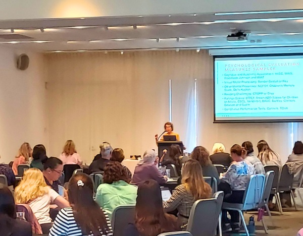 Workshop and Training for Practitioners Image