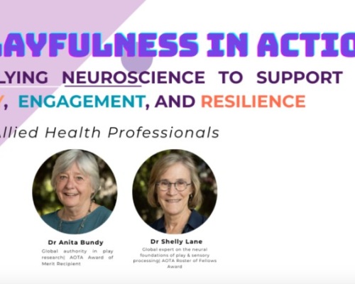 Playfulness in Action: An Exclusive Interview with Professor Anita Bundy and Dr Shelly Lane Image