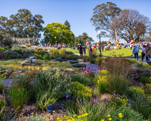 Nature outings in Perth for families this October Image