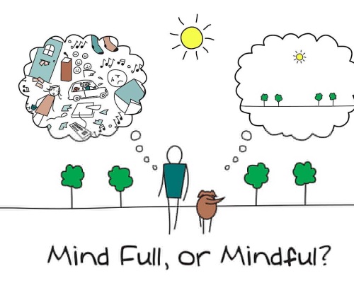 Mindfulness: what is it and how do you get started? Image