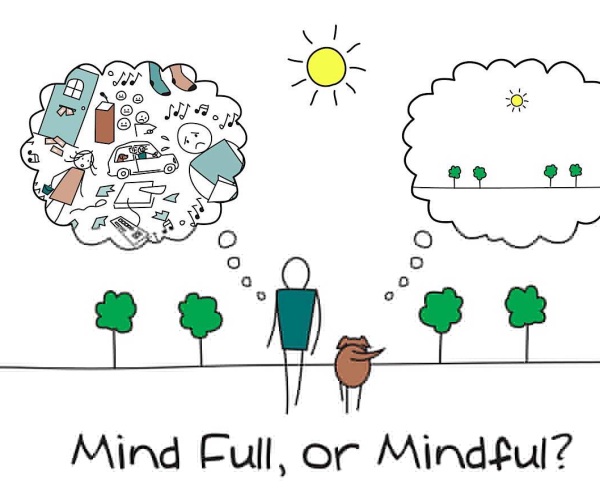 Mindfulness: what is it and how do you get started? Image