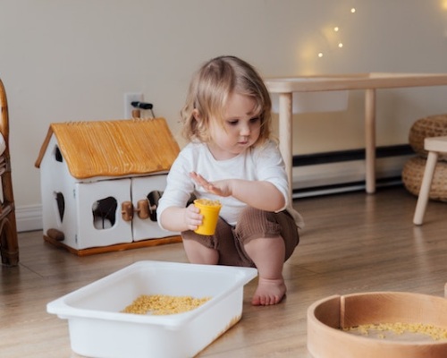 How does an Occupational Therapist work with autism? Image
