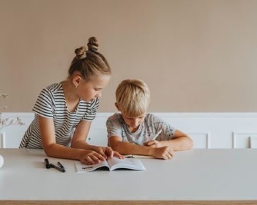 Support needs of Siblings Image