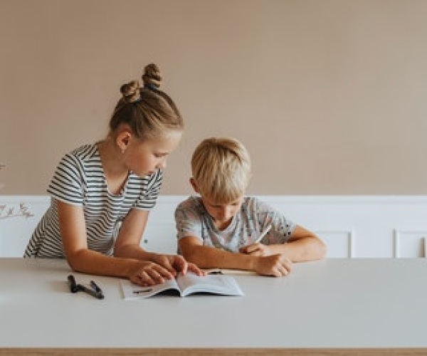 Support needs of Siblings Image