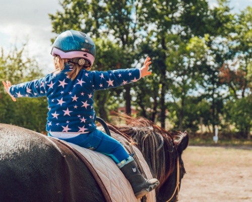 Helping your anxious child to be BRAVE Image