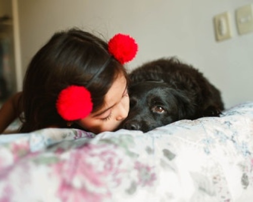 Helping children respond to trauma Image