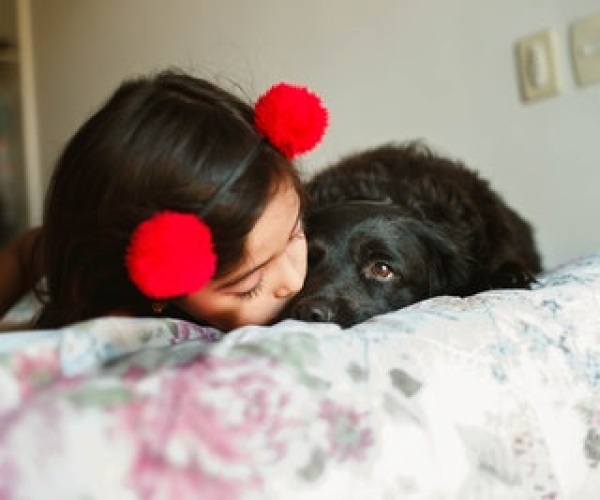 Helping children respond to trauma Image