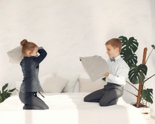 How to stop your children from fighting Image